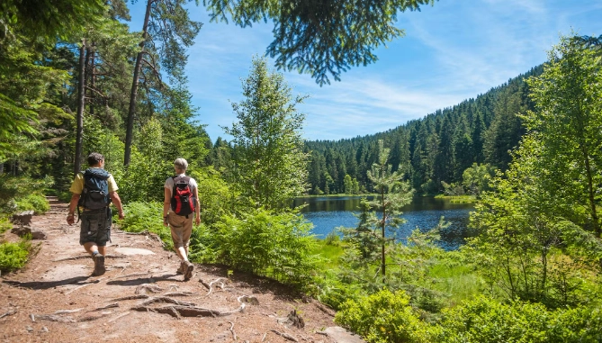 Germany walking tours Germany walking tours