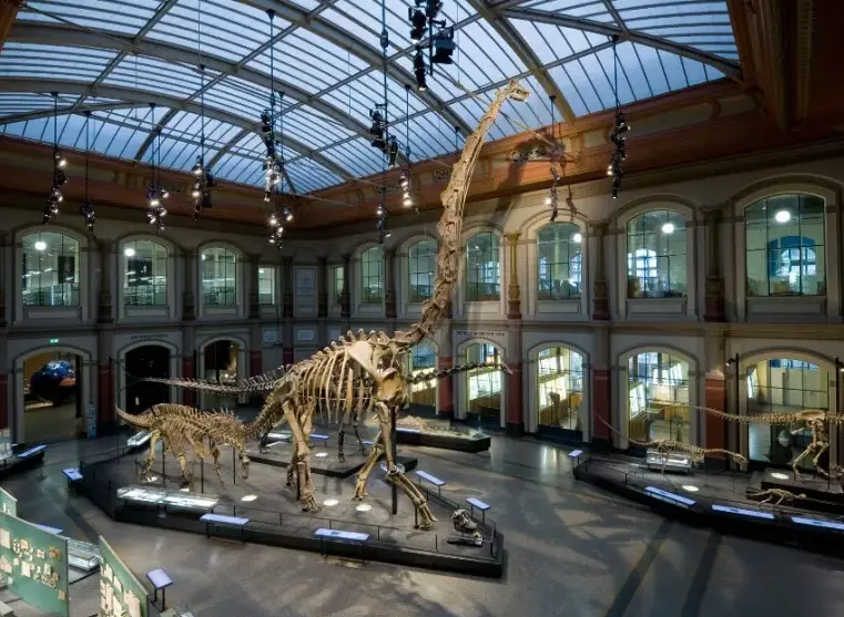 Berlin Museum of Natural History