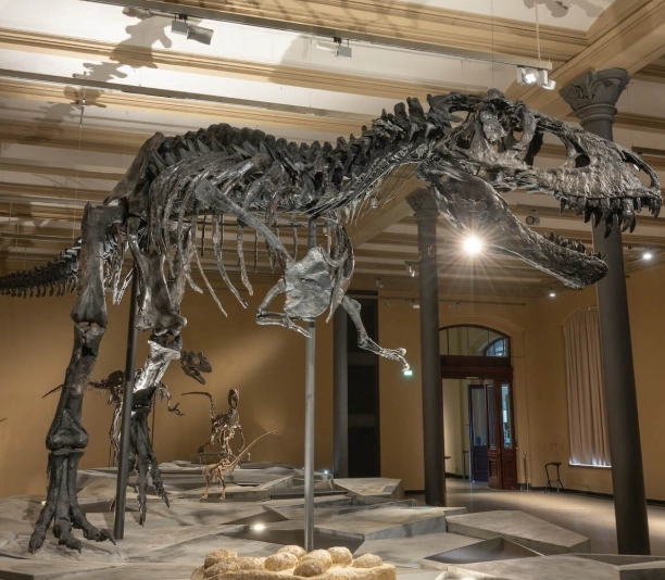 Museum für Naturkunde Berlin