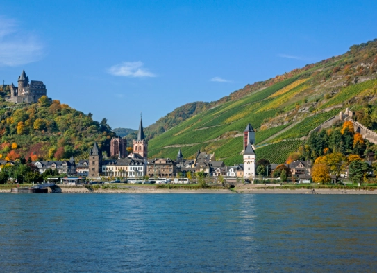 Rhine Valley wine tours Rhine Valley wine tours