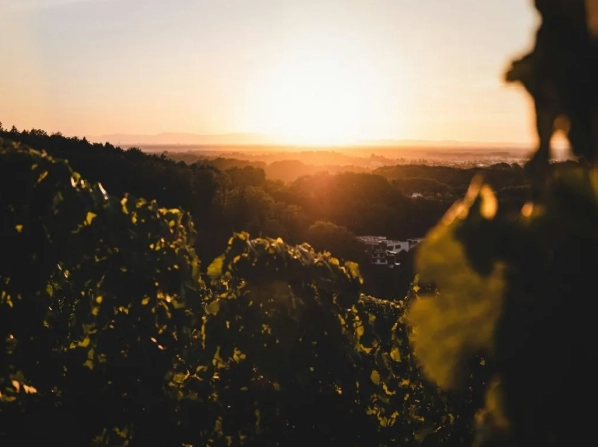 Germany 5 day itinerary Germany 5 day itinerary