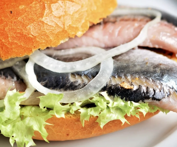 Traditional Hamburg Food Guide: Must-Try Dishes & Best Restaurants