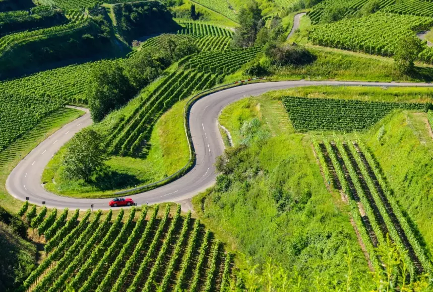 black forest scenic drive